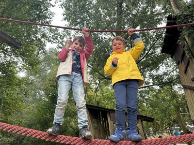 IMG 7850